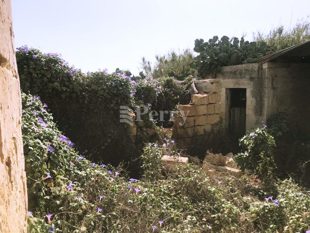 Zabbar - Farmhouse