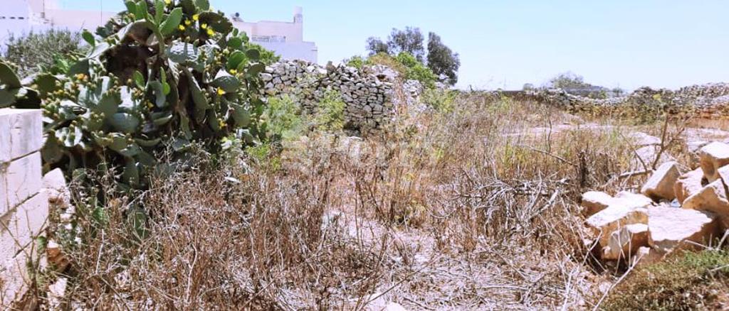 Zurrieq - Plot (Residential)